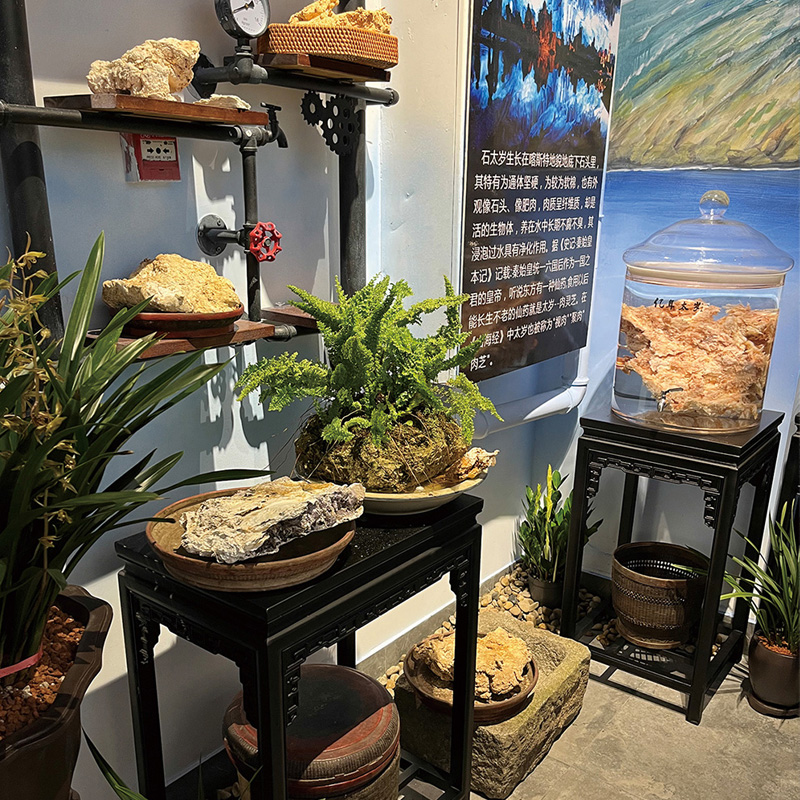 石太岁展厅