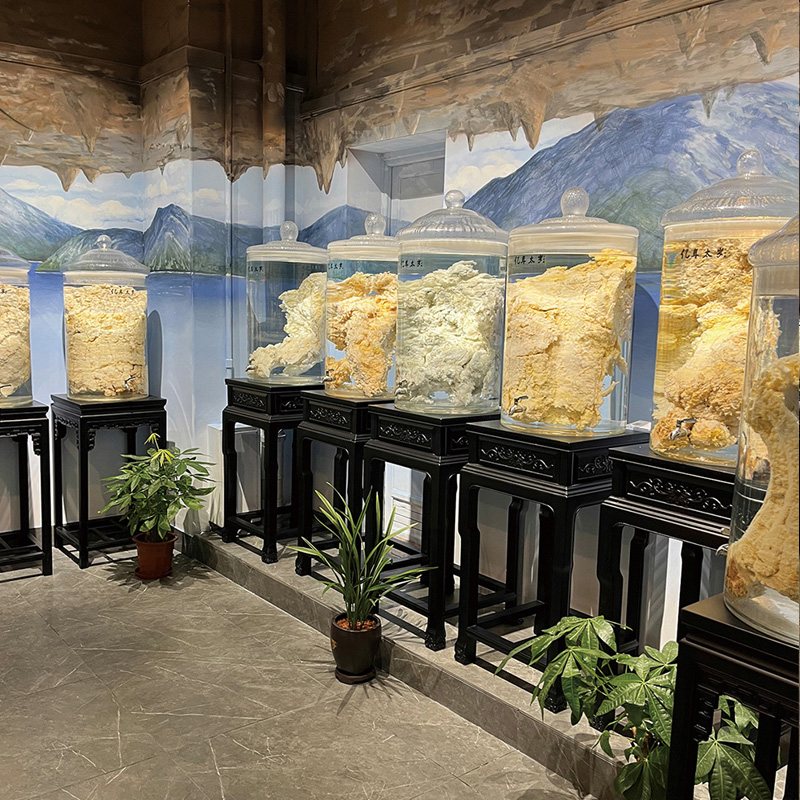 石太岁展厅